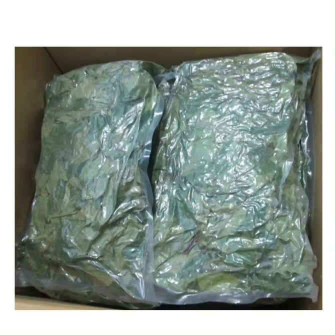 Soursop Leaves Tea Natural Herbal Tea Made in Ceylon – Pack of 100 Leaves