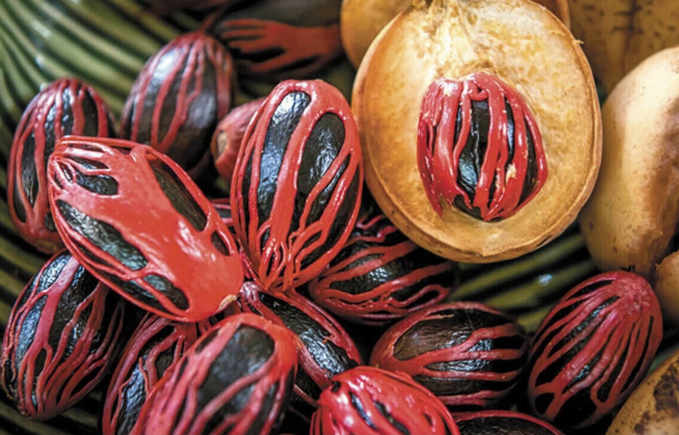 Mace Ceylon Spices Organic Cooking and Cocktail Ingredients 30g